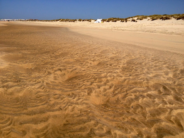 playa doñana