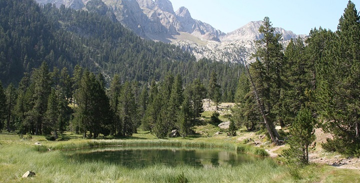 Benasque Valle de Aragón 4