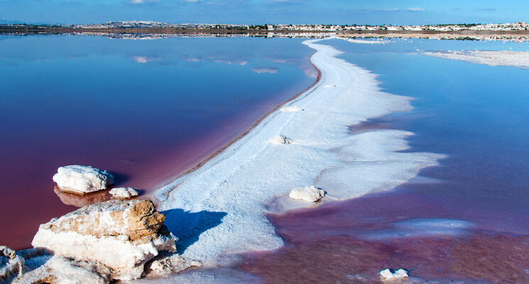 Así es la laguna rosa de Torrevieja: un fenómeno natural único en España