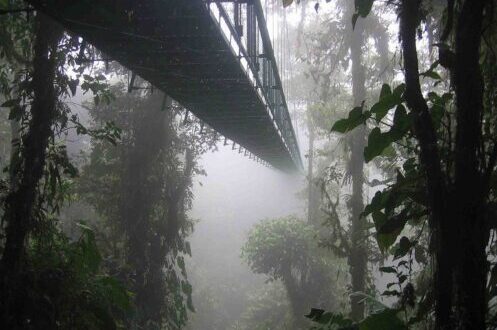 Caminata por el cielo en la Reserva del Bosque Nuboso Monteverde |  © WikiCommons