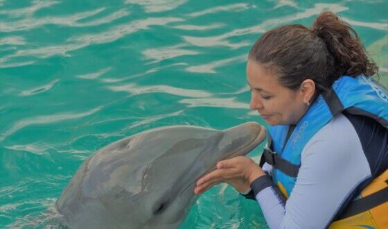 encuentro con delfines de cerca