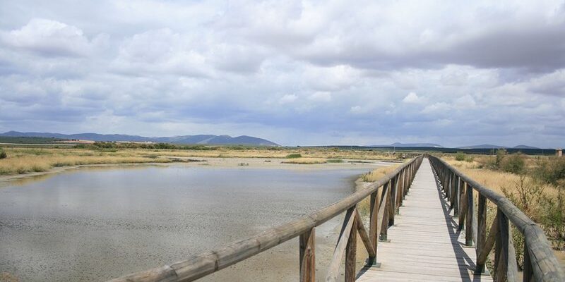 Laguna de Fuente de Piedra - Web oficial de turismo de Andalucía