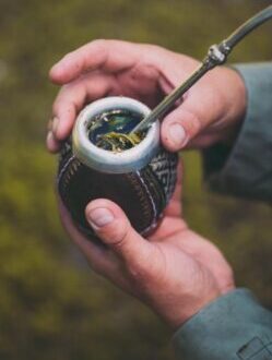 Man holding yerba mate in nature. Travel and adventure concept. Latin American drink yerba mate